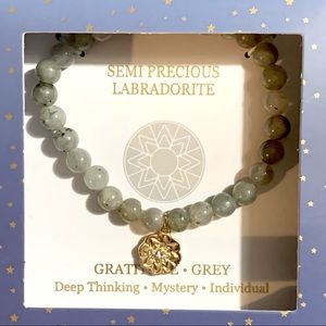 ✨ Labradorite Bracelet Gold Crystal Charm NIB ✨